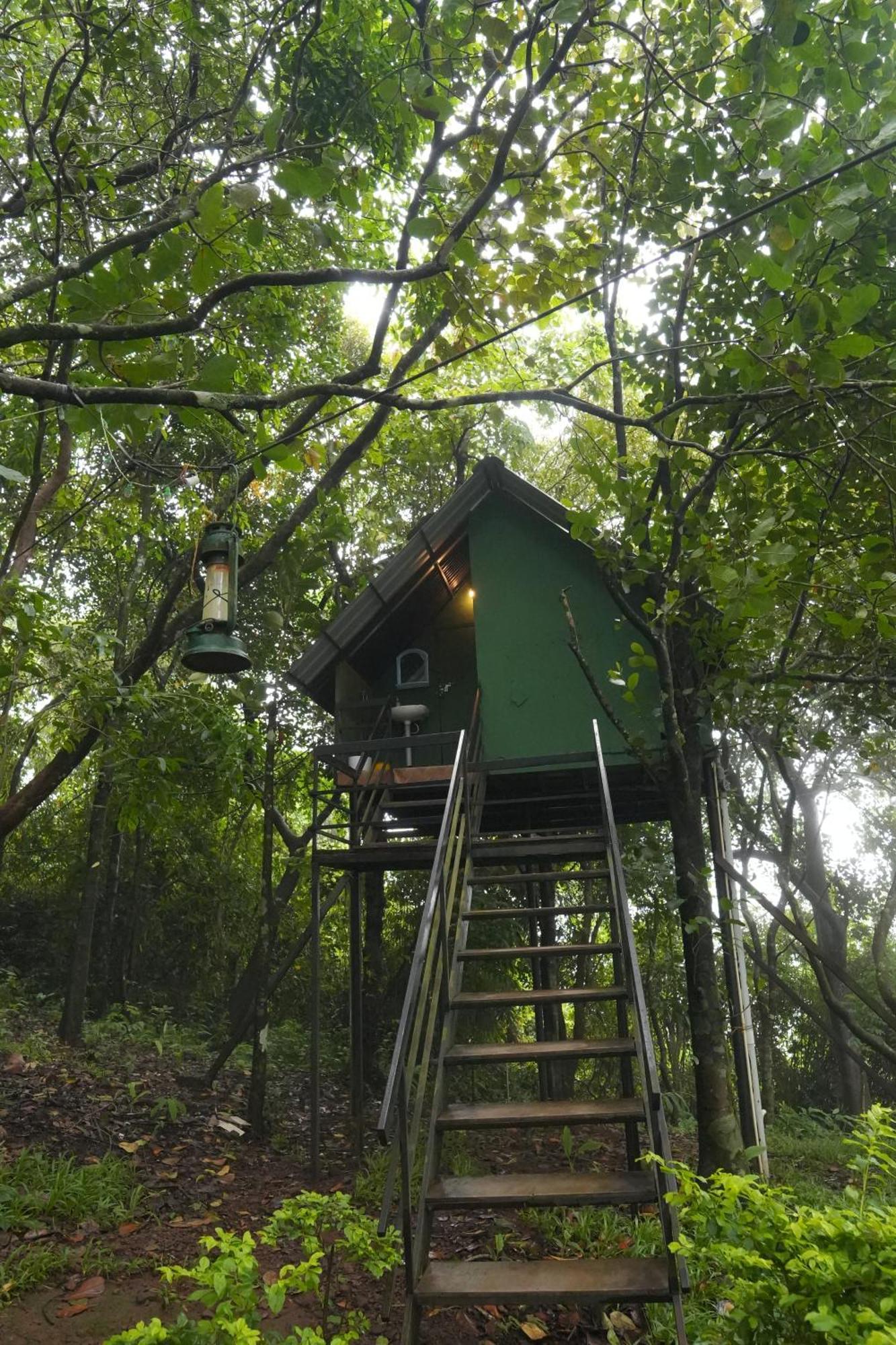 Regina Silva Camping & Nature Resort Paithalmala Экстерьер фото